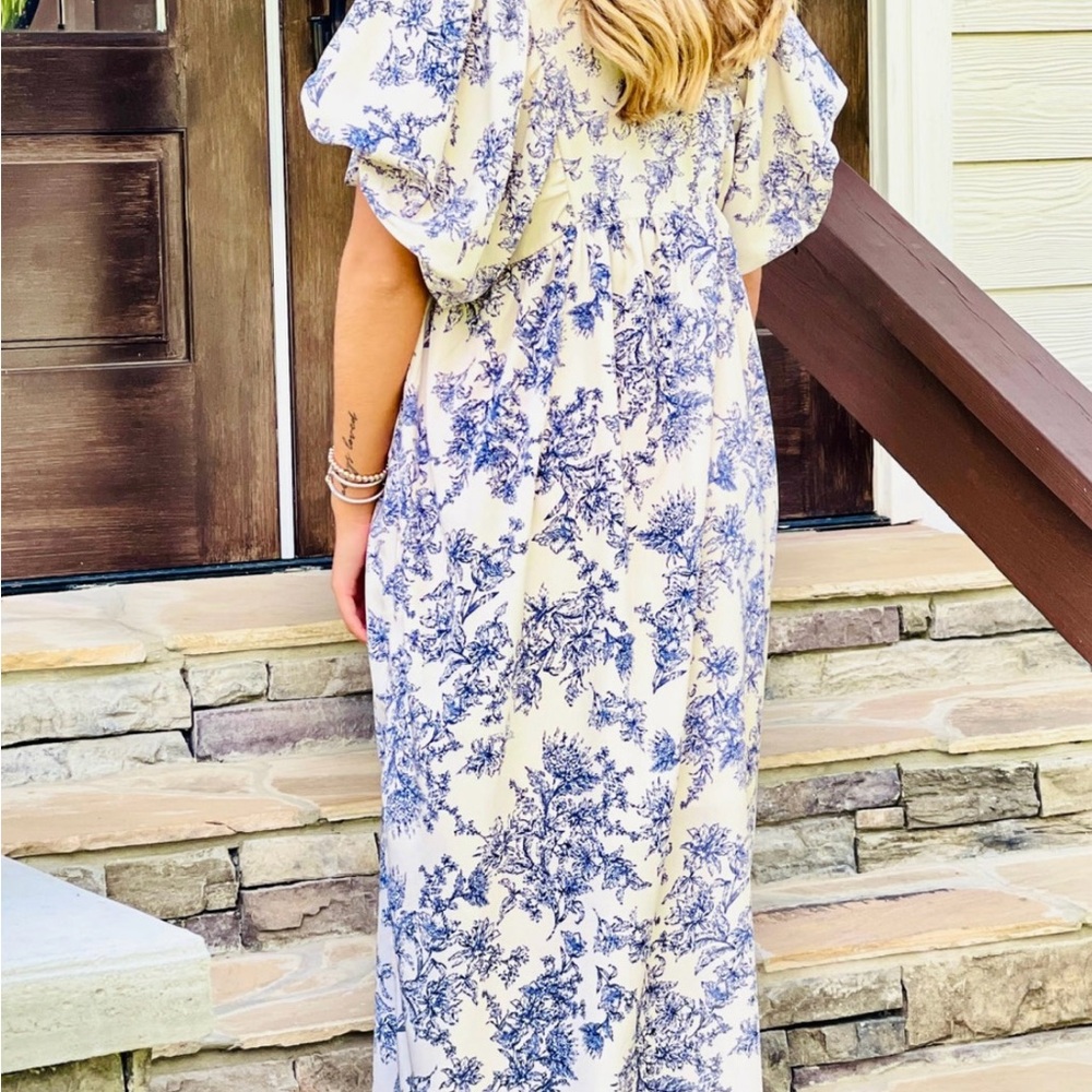 Entro Blue/Ivory Floral Toile Midi Dress, Size Medium - Picture 3 of 8